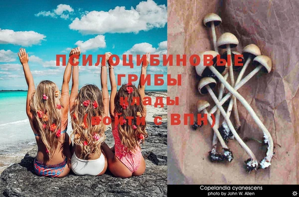 a pvp Абинск
