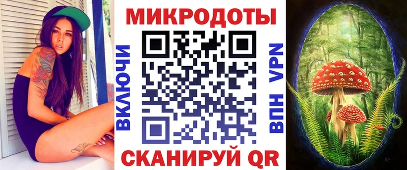 Галлюциногенные грибы Psilocybine cubensis  Тюмень 