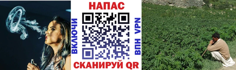 магазин продажи наркотиков Тюмень Бошки Шишки тримм